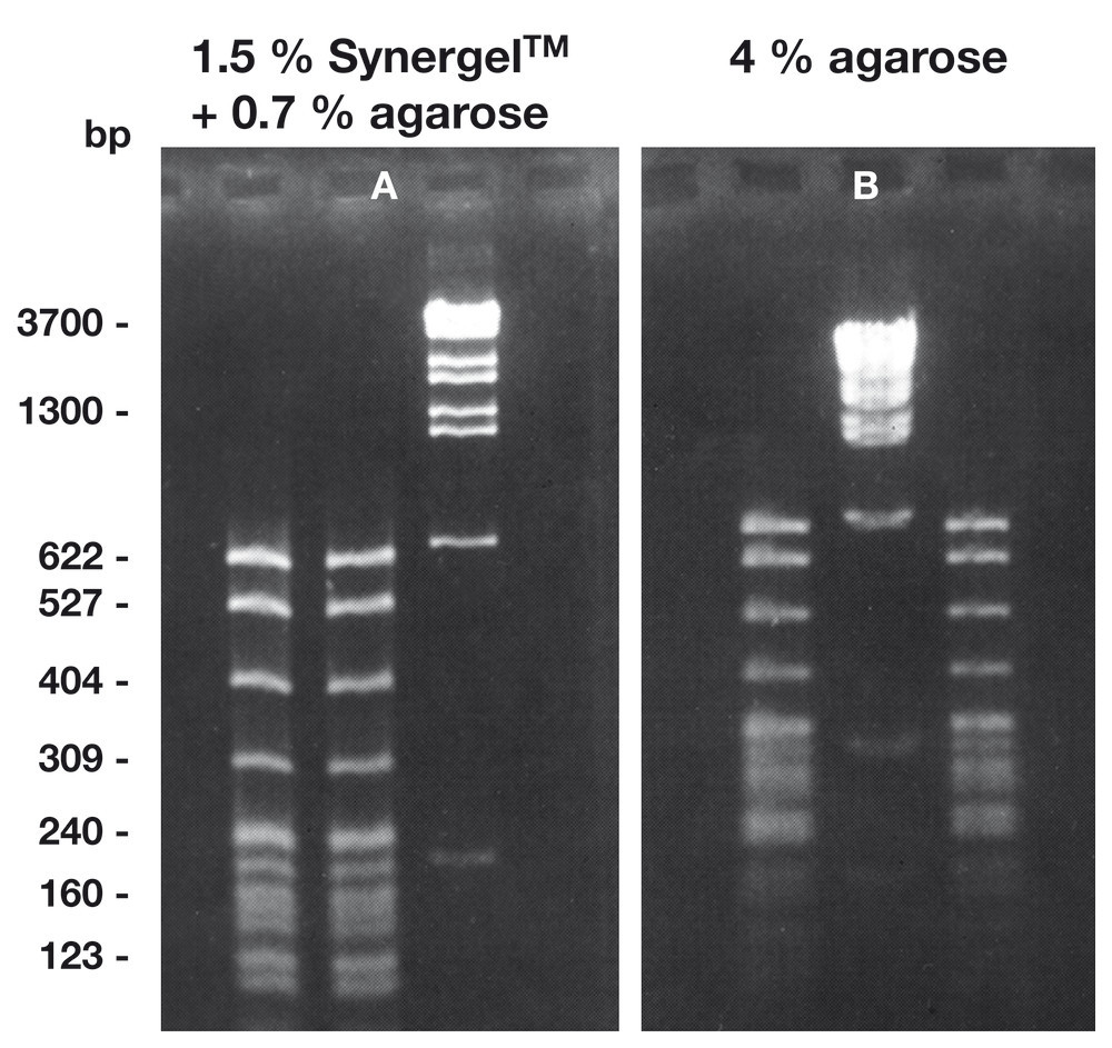 Synergel TM, min. 99 %, for gel electrophoresis, 100 g, plastic