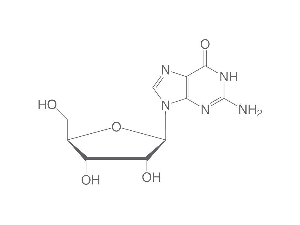 Guanosine, min. 98 %, for biochemistry, 10 g, plastic