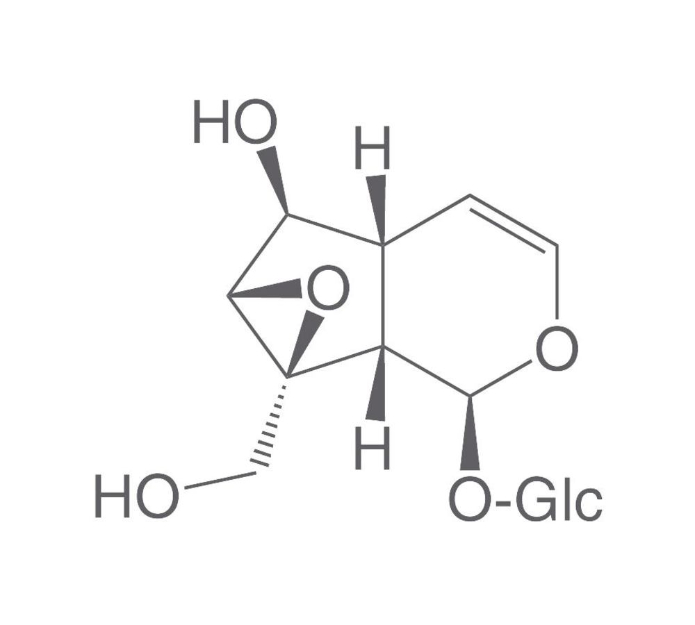 Catalpol, ROTICHROM® HPLC, 25 mg, glass