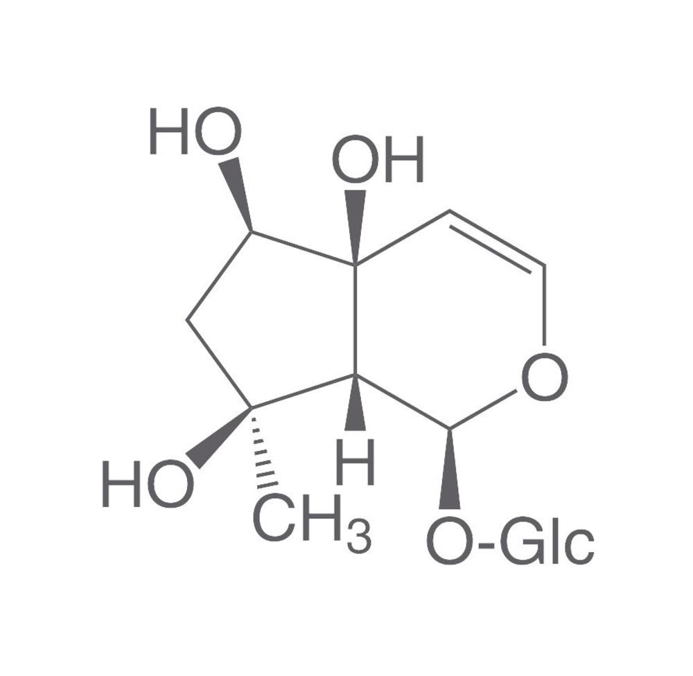 Harpagid, ROTICHROM® HPLC, 10 mg, glass