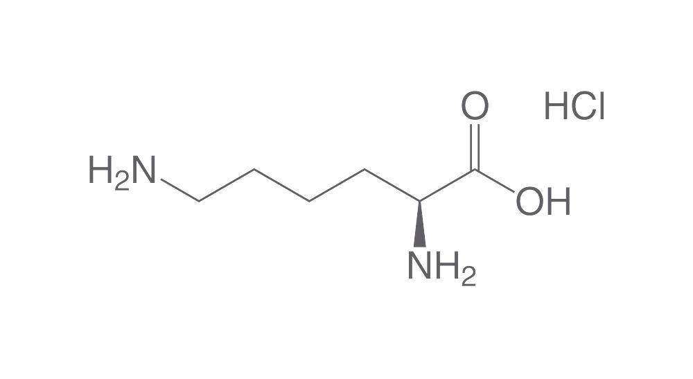 L-Lysine hydrochloride, min. 98,5 %, CELLPURE®, 100 g, plastic