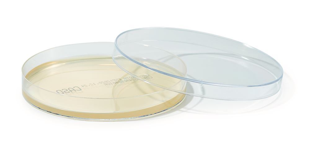ROTI®Plate90 CASO, ready-to-use, steril, 10 unit(s), box