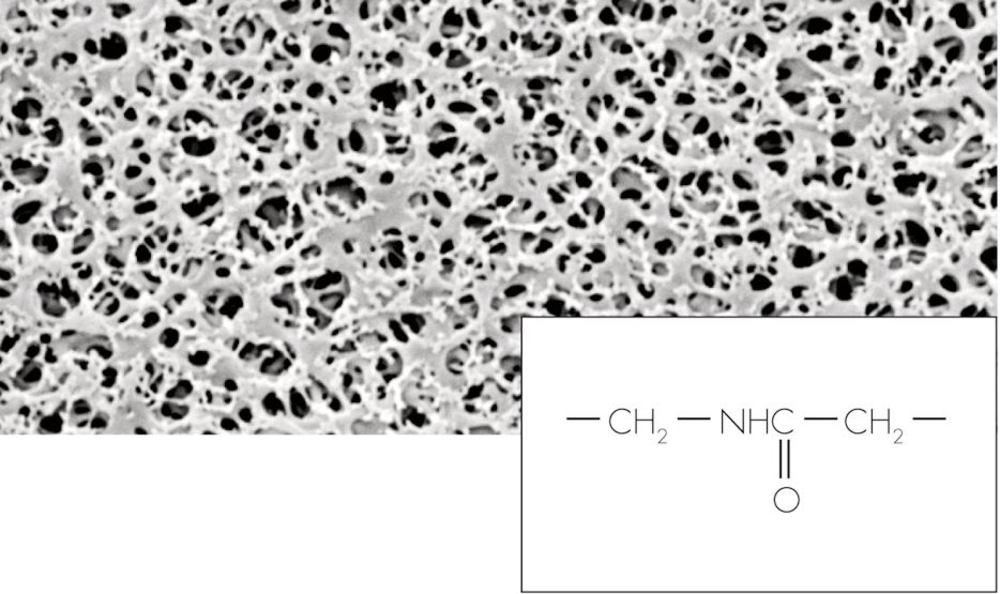 Nylon membrane filters, 0.45 µm, 47 mm, 100 unit(s)