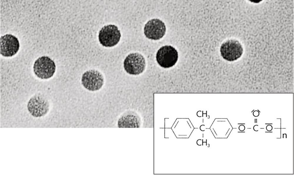 PC membrane filters, 0.1 µm, 25 mm, 100 unit(s)