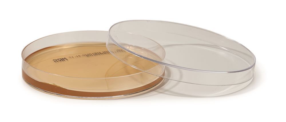 ROTI®Plate90 MRS, EN ISO 11133, for microbiology, 10 unit(s), box