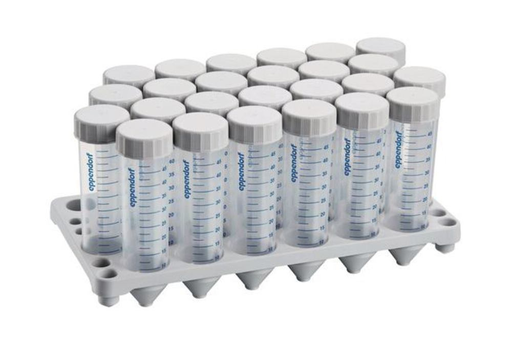Centrifuge tubes Eppendorf Conical Tubes® 50 ml Transparent, Sterile, rack