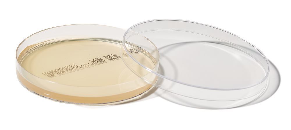 ROTI®Plate90 Sab4Cla , ISO 11133, sterile, 10 unit(s), box