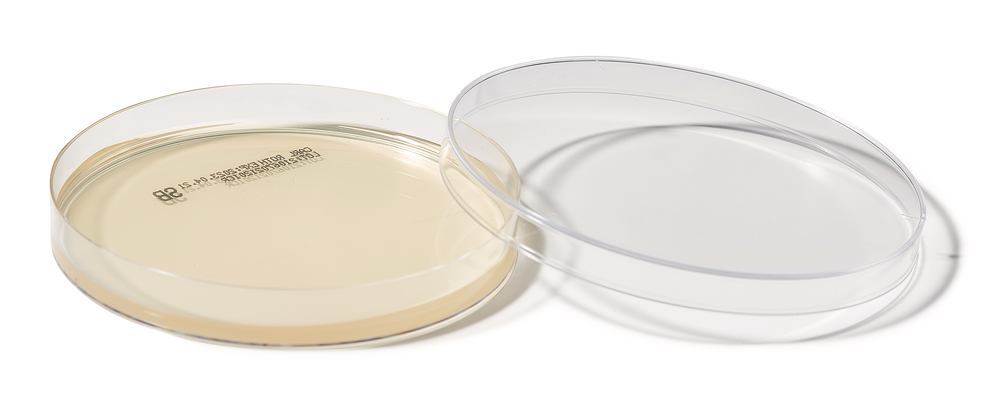 ROTI®Plate90 ESB, ISO 7899-2, ready-to-use, steril, 10 unit(s), box