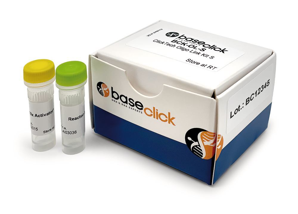 ClickTech Oligo Link Kit, Range Oligonucleotide From 70 pmol to 22 nmol, 1 kit