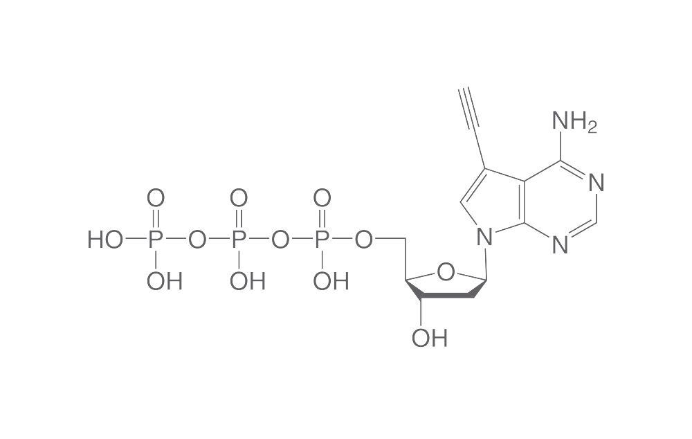 Alkyne-dATP, ≥95%, 100 µl, plastic