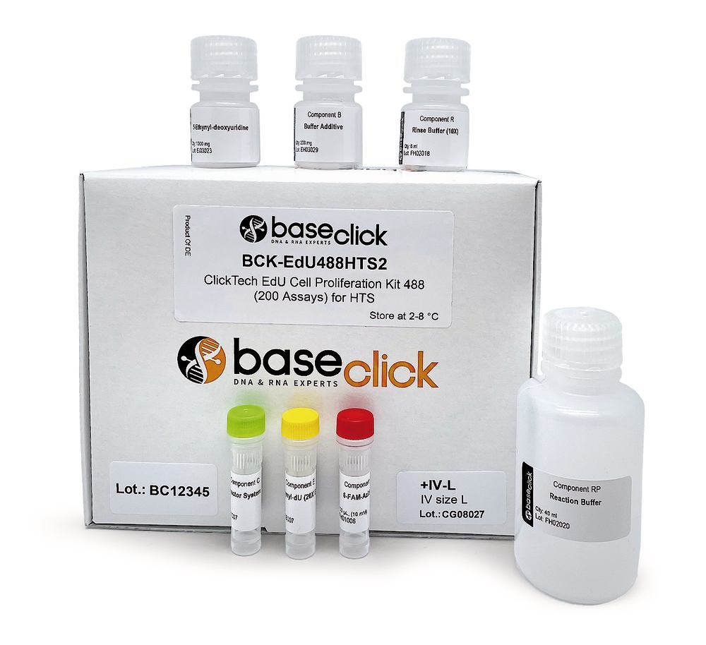 ClickTech EdU Cell Proliferation Kit 488 in vivo, M (500 mg additional EdU)