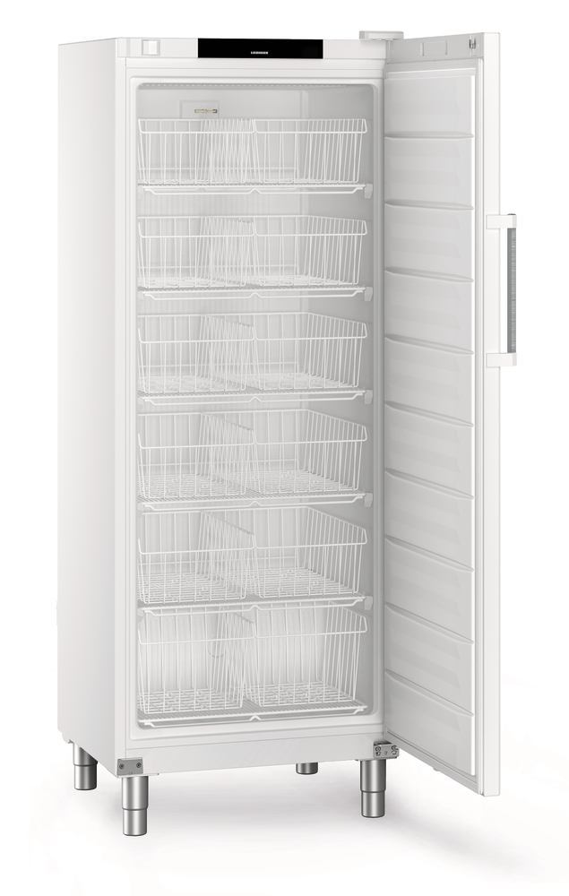 Freezer Performance FFFsg 6501, 332 l, H 2018 mm, -9 to -26 °C, , 1 unit(s)