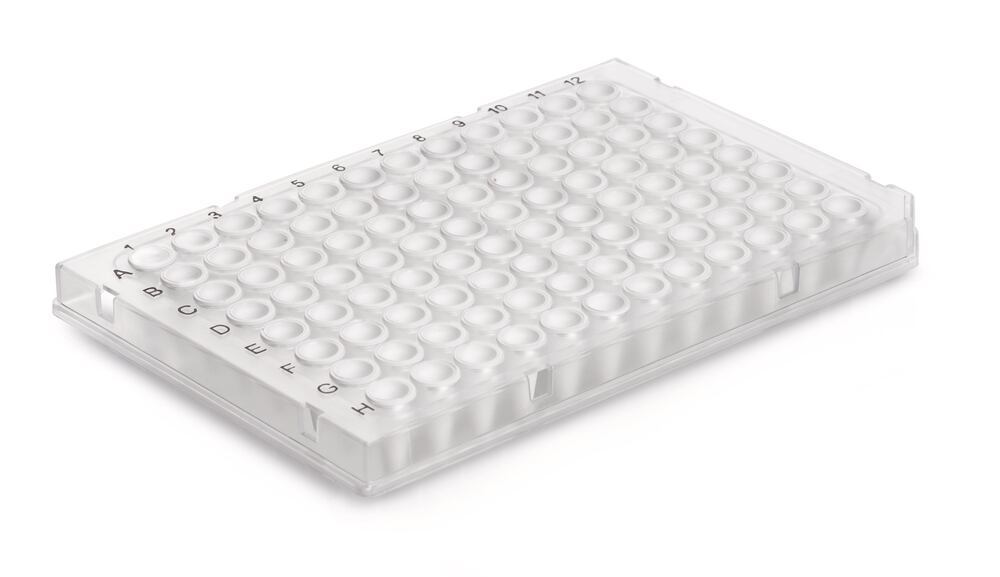 Rigid frame 96 well PCR plate, Standard, transparent, whole frame, 50 unit(s) — Carl Roth, cod 21P8.1