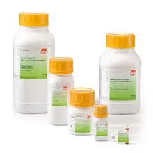 Albumină serică bovină (BSA) Fracția V, fără acizi grași Europa, min. 98 %, 1 g