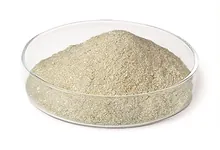 Albumină serică bovină, fără biotină, origine NZ-, min. 98 %, 50 g, plastic