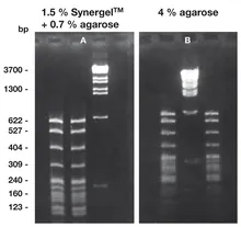 Synergel TM, min. 99 %, pentru electroforeză pe gel, 10 g, plastic