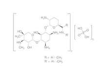 Sulfat de gentamicină, min. 590 U.I./mg, pentru biochimie, 10 g, sticlă