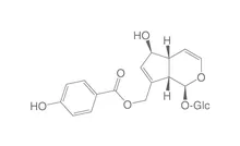 Agnozida, ROTICHROM® HPLC, 10 mg, sticlă