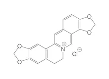 Coptisin, ROTICHROM® HPLC, 10 mg, sticlă