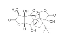 Ginkgolide B, ROTICHROM® HPLC, 20 mg, sticlă