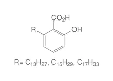 Acizi ginkgolici RN, ROTICHROM® HPLC, 5 mg, sticlă