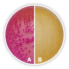 Agar MacConkey, granulat, pentru microbiologie, 500 g, plastic