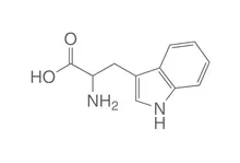 L-Triptofan, min. 99 %, CELLPURE®, 500 g, plastic