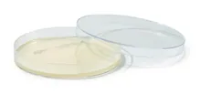 ROTI®Plate90 PCA, ISO 4833, ISO 11133, 10 unități, cutie