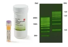 Colorant ADN BrightGreen, pentru electroforeză, gata de utilizare, 1.8 ml, plastic