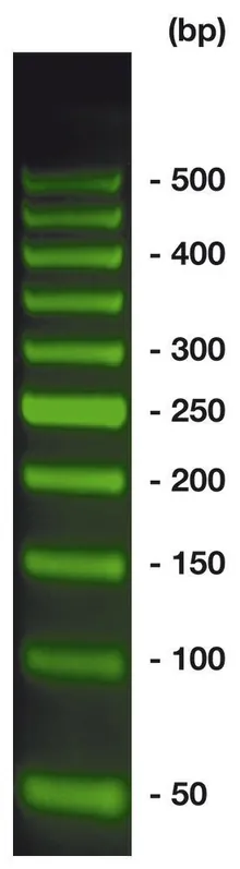 Marker ADN 50 bp BrightGreen, gata de utilizare, pre-colorat, 500 µl, plastic