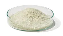 Albumină serică bovină (BSA) Fracția V, fără protează, origine NZ, min.98 %, 10 g