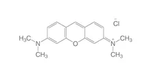 Pironină G (C.I. 45005), extra pură, 5 g, sticlă