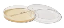 ROTI®Plate90 Sab4Cla, ISO 11133, steril, 10 unități, cutie