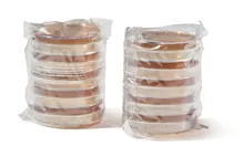 ROTI®Aquatest Placă BEA, ISO 7899-2, ISO 11133, gata de utilizare, sterilă