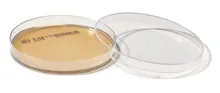 ROTI®Plate90 BEA, ISO 7899-2, gata de utilizare, steril, 10 unitate(ăți), cutie