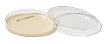 ROTI®Plate90 ESB, ISO 7899-2, gata de utilizare, steril, 10 unitate(ăți), cutie