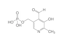 Piridoxal fosfat, min. 98 %, pentru biochimie, 10 g, sticlă