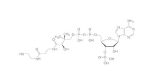 Coenzima A hidrat, min. 85 %, pentru biochimie, 10 mg, sticlă