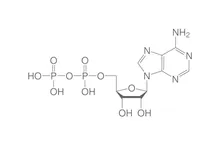 Adenozin difosfat, min. 97 %, pentru biochimie, 100 mg, sticlă