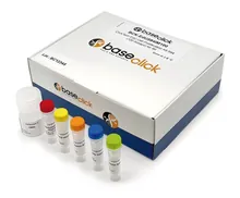 Kit ClickTech 594, pentru Imagistică, 1 kit, carton