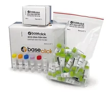 Kit ClickTech DNA FISH 488, Pentru Hibridare in situ în fluorescență, 1 kit