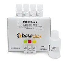 ClickTech EdU Cell Proliferation Kit 488 in vivo, M (500 mg EdU suplimentar)