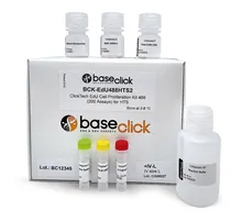 ClickTech EdU Cell Proliferation Kit 555 in vivo, M (500 mg EdU suplimentar)