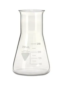 Balon Erlenmeyer RASOTHERM cu gât larg, 250 ml, 10 bucăți