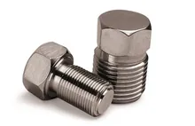 Dop filetat C, pentru deschidere filet G1/2 inch, 1 bucată