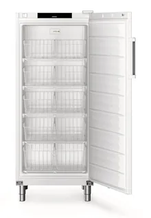 Congelator Performance FFFsg 5501, 289 l, H 1818 mm, -9 până la -26 °C, , 1 buc.