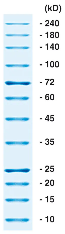 ROTI®Mark ALL BLUE, marker proteic, precolorat, 250 µl, plastic