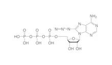 8-Azido-ATP, min. 95 %, 10 µl, plastic