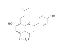 Isoxantohumol, ROTICHROM® HPLC, 10 mg, sticlă