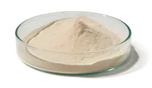 Peptonă din soia (fără produse animale/fără OMG), 2.5 kg, digerată papainic, fără produse animale